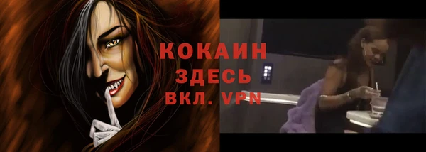 spice Алексин