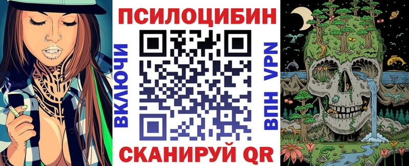 Галлюциногенные грибы Psilocybine cubensis  Бахчисарай 